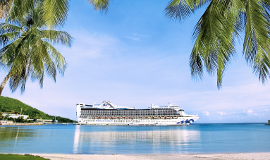princess cruises exterior ship palm trees