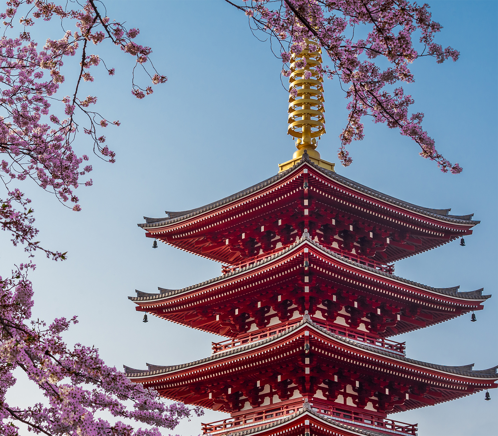 Tokyo Pagoda