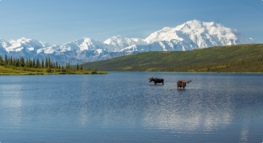 Denali National Park