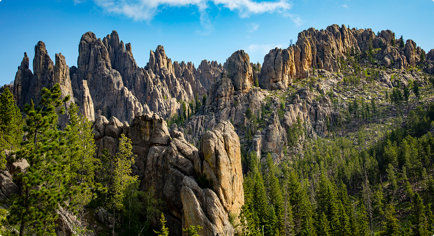 Black Hills of South Dakota