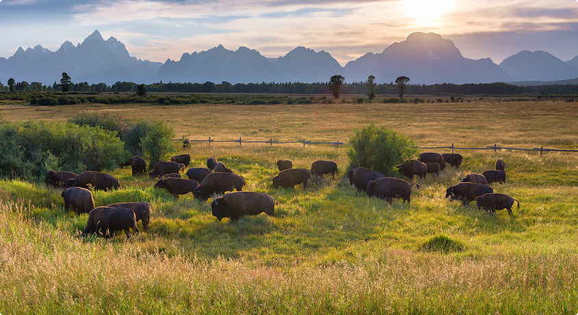 Grand Teton National Park
