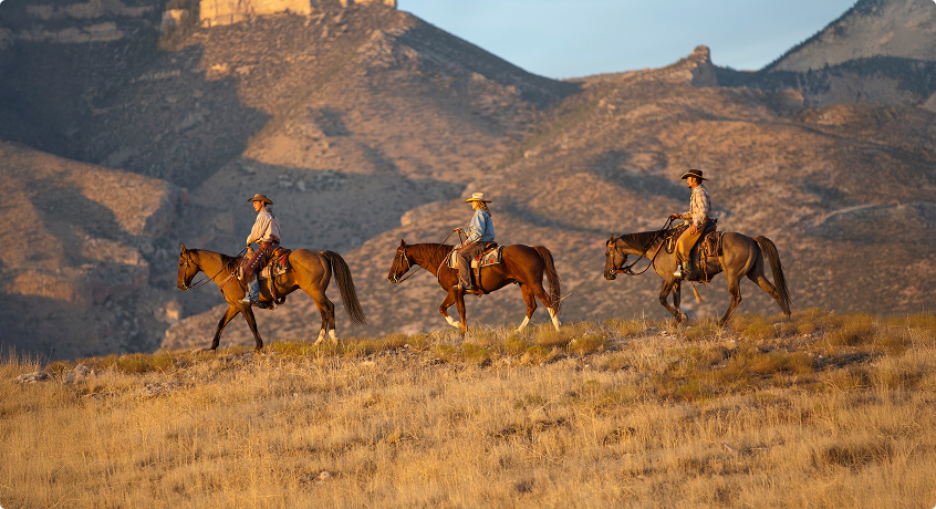 Horseback Riding