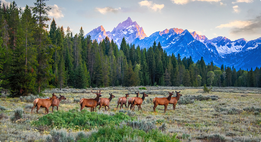 Jackson Hole, Wyoming