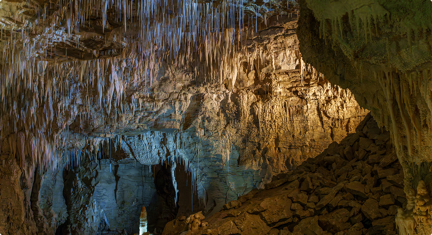 Glowworm Cave in Waitomo