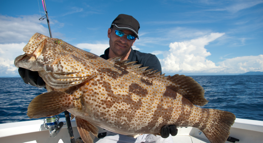 Grouper