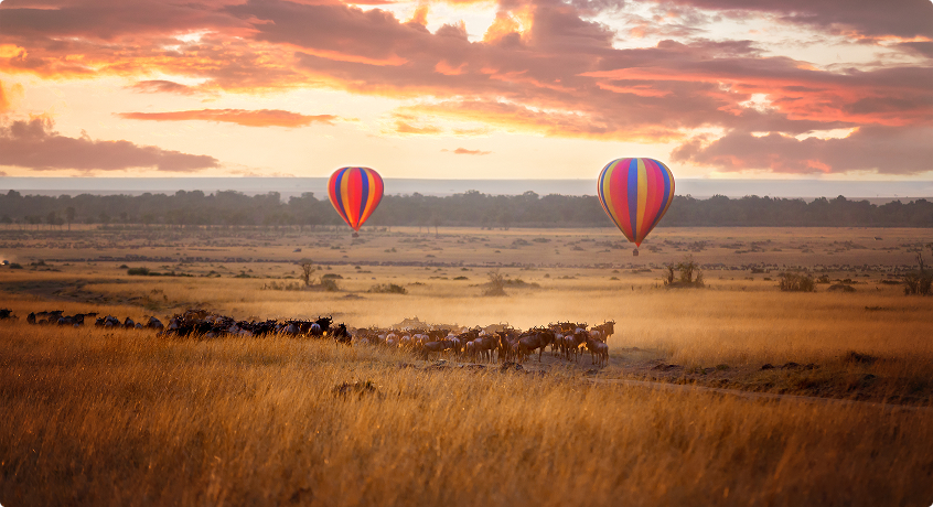 Hot Air Balloon Safari