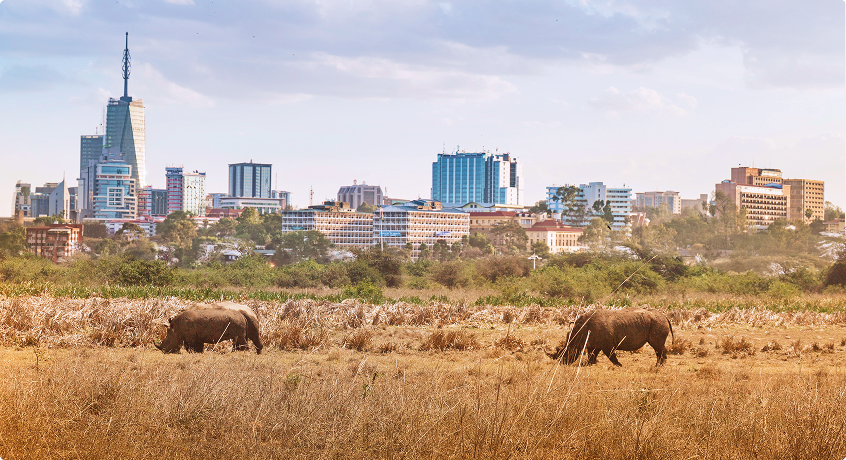 Nairobi National Park