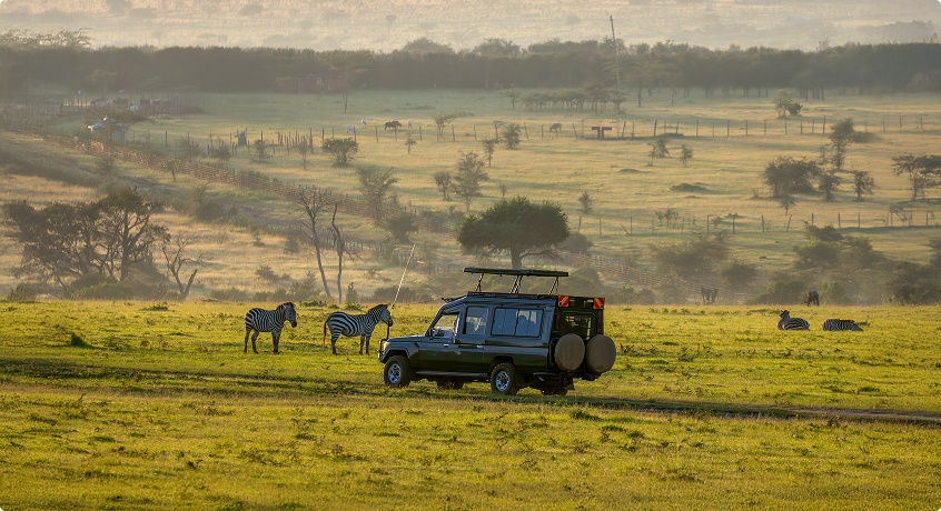 Serengeti Game Drives