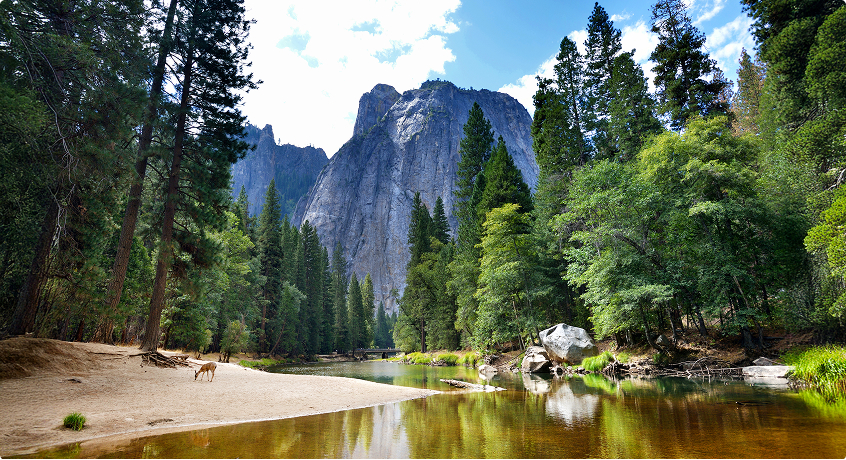 Yosemite National Park