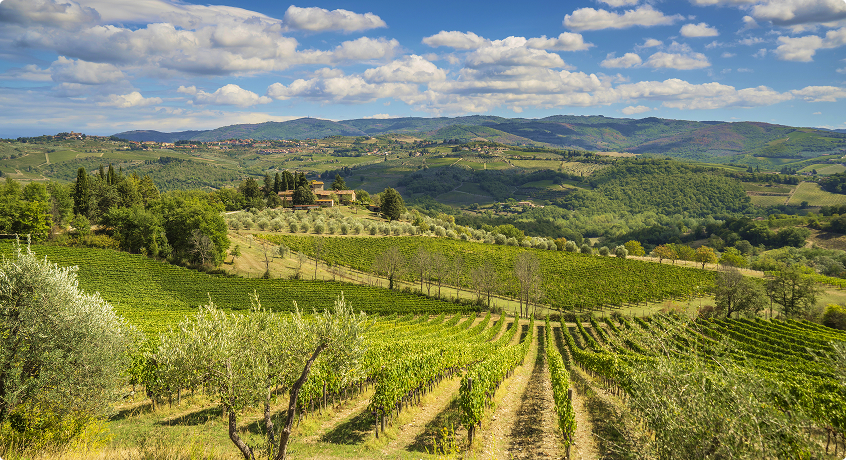 Vineyards in Chianti Classico