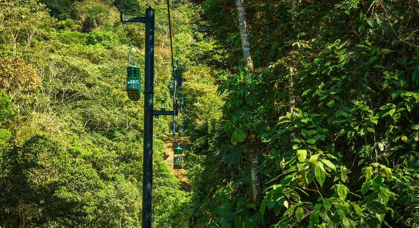 Scenic Sky Tram Gondola