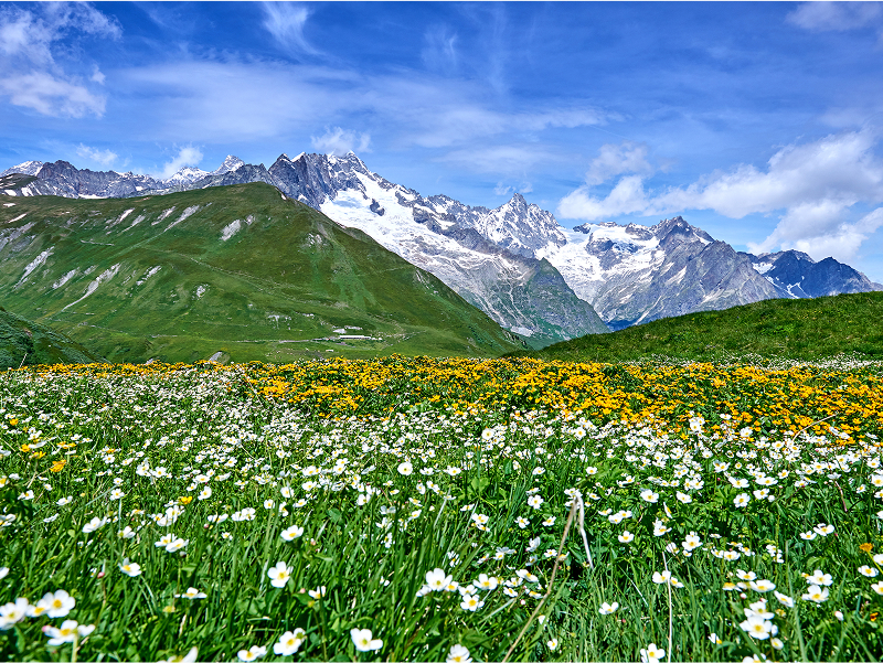 Swiss Alps