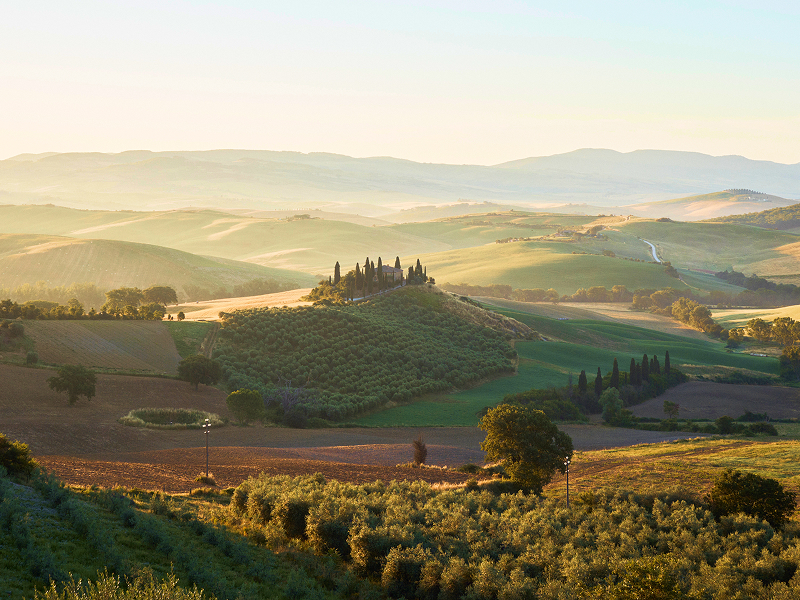 Tuscany mountains and trees
