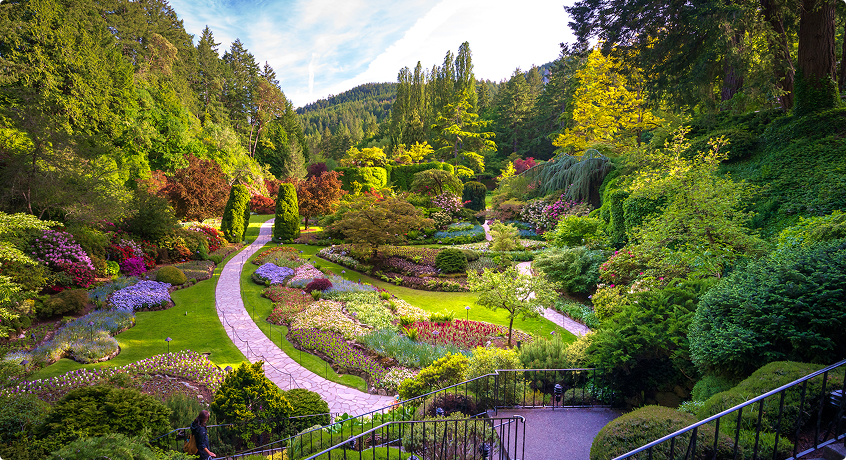 Butchart Gardens